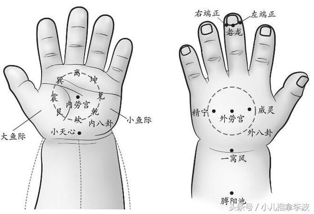 小儿推拿李波:小儿推拿操作顺序、补泻原则以及小儿推拿常用