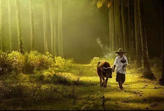 甘肃省如何利用资源发展经济 甘肃未来产业发展重点有哪些