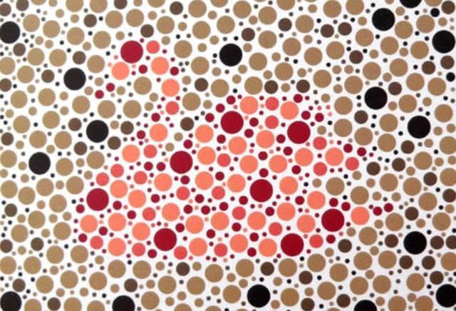 6张色盲检测图,其中有一只是天鹅,你能正确的识别出来吗?