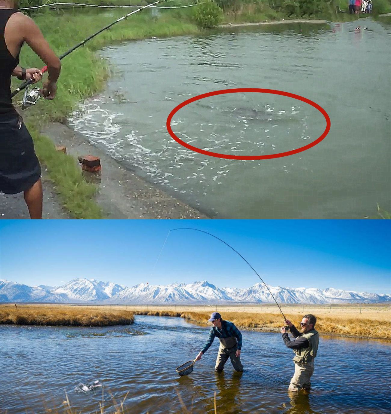 农村小伙钓鱼疯狂拉杆,上钩的"大鱼"令人意外,网友:成精了?