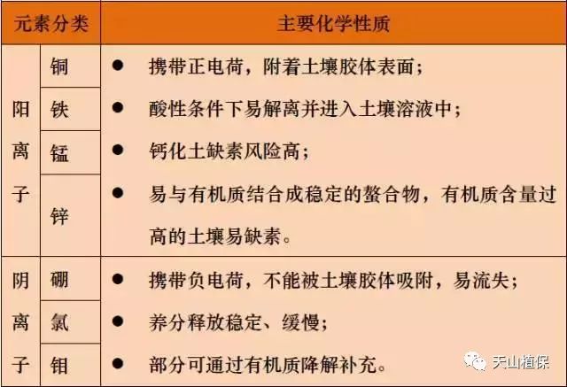 人体必需微量元素片