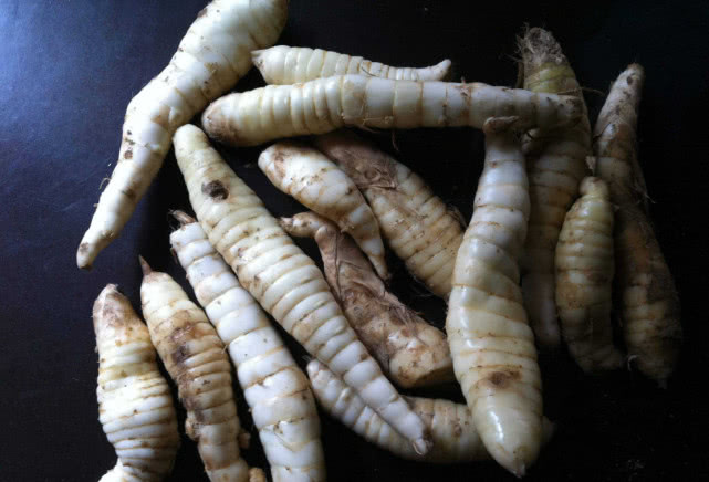 野菜|地笋|虫子_新浪新闻