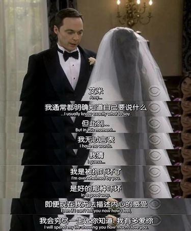 十一年了,被他们的古怪圈了粉,却因他们的平凡动了心|谢尔顿|谢耳朵