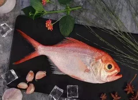 99鱼油深海鱼油