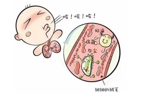 支气管炎|过敏性咳嗽|微生物_新浪新闻