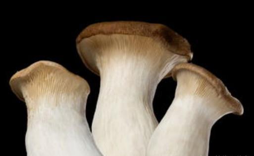 农村一种看着很有喜感的菜,能帮助消化,预防便秘,深受吃货欢迎|杏鲍菇