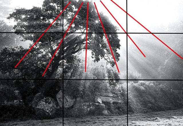 手机中参考线原来是这么用的!拍好照片必懂的构图法则