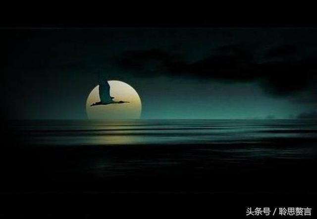 历代咏孤雁诗词精选一十八首 芳草已云暮，秋雁又南回|孤雁|唐代|西风_新浪新闻
