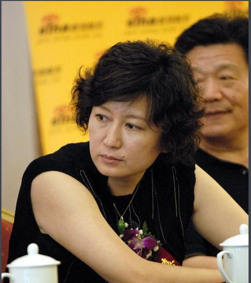 孙红雷为什么把钱财放在赵宝刚媳妇丁芯这里,他们到底什么关系|丁芯|