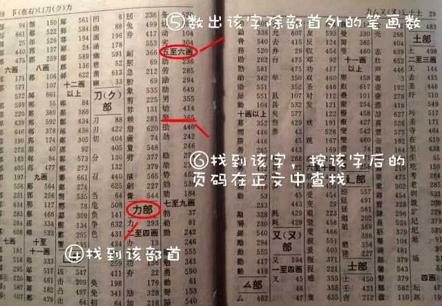 干货!小学低年级查字典技巧顺口溜,快给孩子收藏吧!