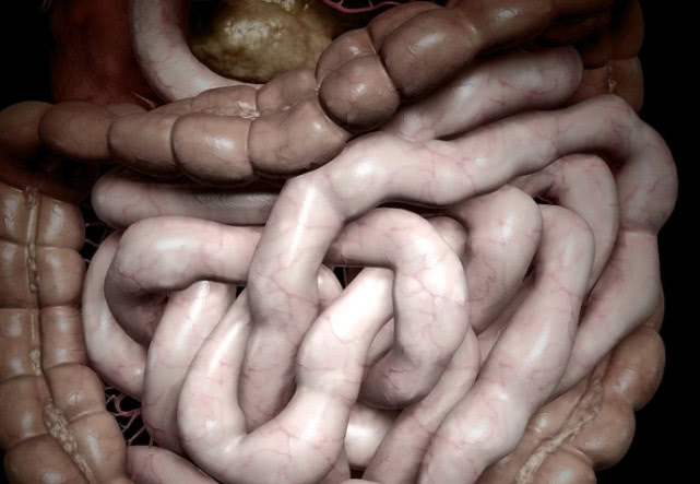 清洗猪大肠太麻烦,张大妈教你妙招,5分钟就能轻松去除腥臭味!