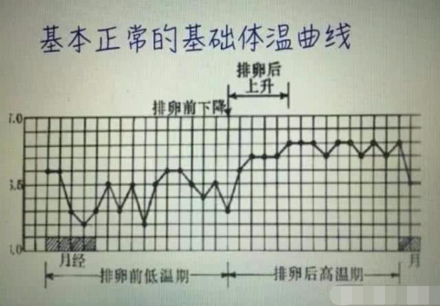 月经过后10天,若身体出现这4个"变化",说明"排卵期"到了!