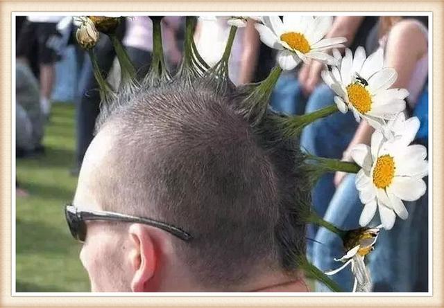 论发型的重要性,刘德华流行到现在,但是你头上长花就过分了吧