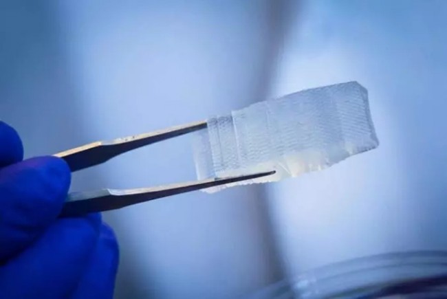 结合神经干细胞技术3d打印水凝胶植入物有望修复受损脊髓