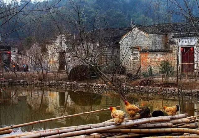 龙南关键词seo优化