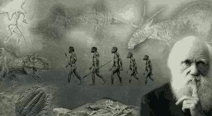 3000年后的地球是怎样的?生存还是毁灭