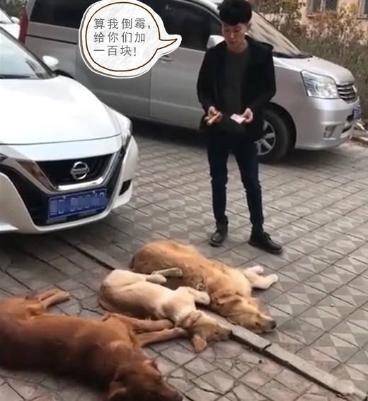 三狗子街头讹人碰瓷,不可不知的秘密