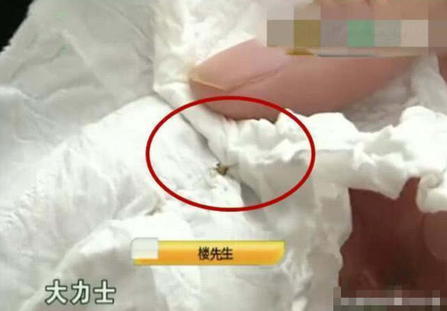 男子宝马车里拍死一只蚊子，损失8000多块，4S店：我们要倒霉了休闲区蓝鸢梦想 - Www.slyday.coM