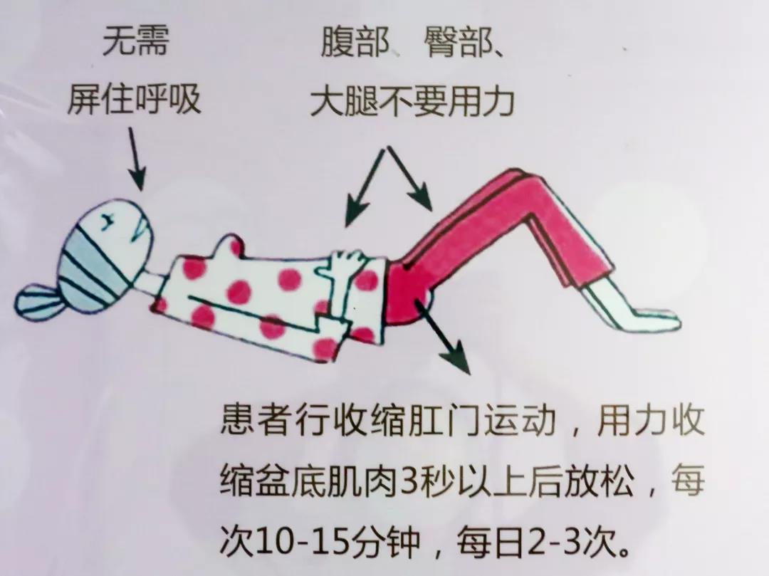 治疗子宫下垂的动作图图片