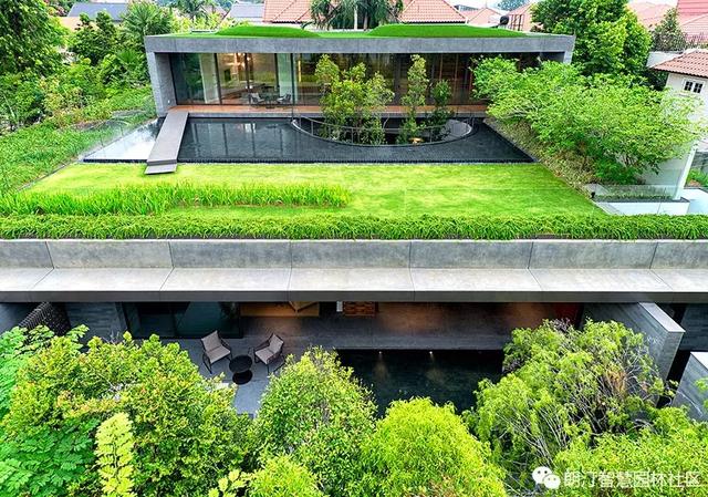 福州马尾区实施屋顶绿化构建缤纷花园景观