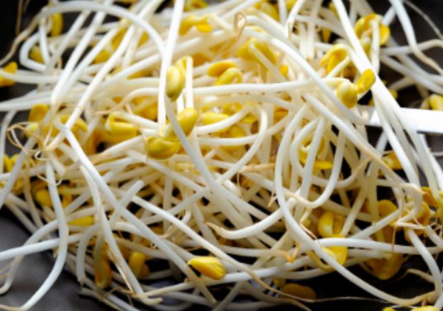 第一步,我们先将肉洗干净切成细丝状,把豆芽洗干净备用,把生姜,葱切末