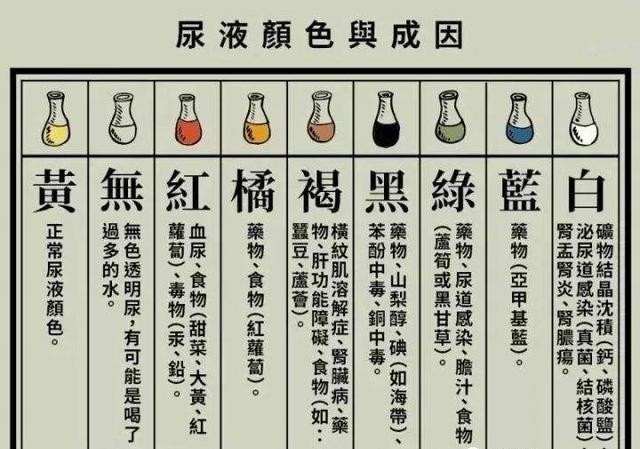 这些地方出现问题,是肾脏在给你发信号|肾脏|尿液|肾脏病_新浪新闻