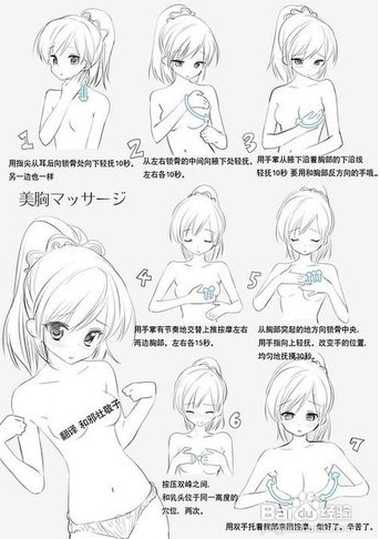 有哪些关键要素决定你的胸部大小