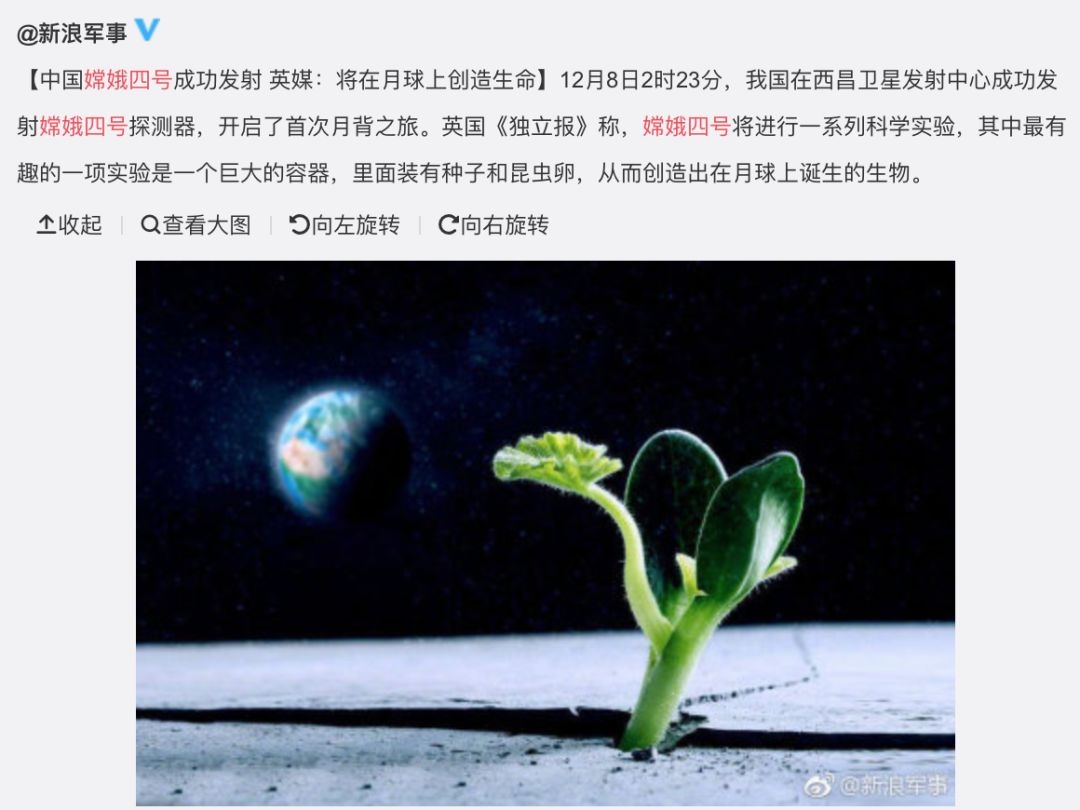 中国人马上在月亮上种菜了|月球|中国人|月亮_新浪新闻