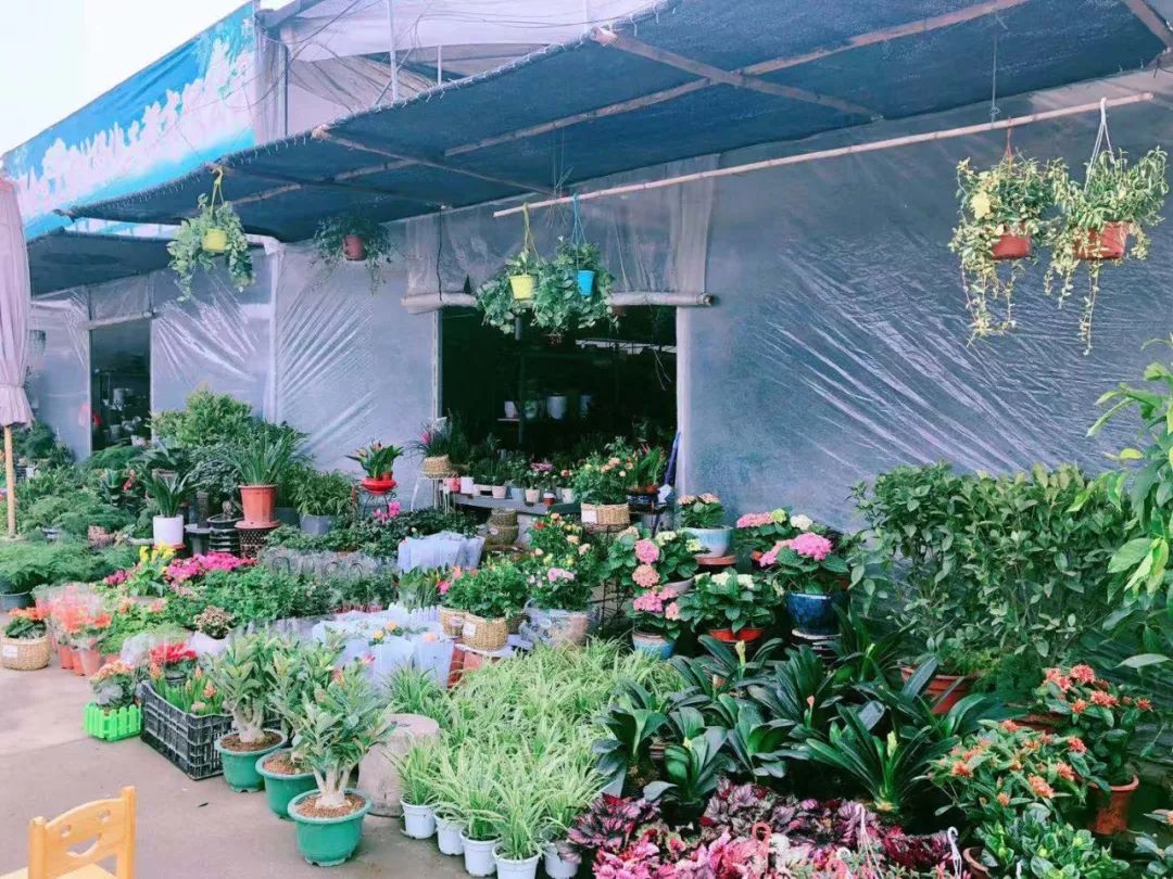 三圣花乡要全新亮相!成都花市最新规划,你家附近有吗?