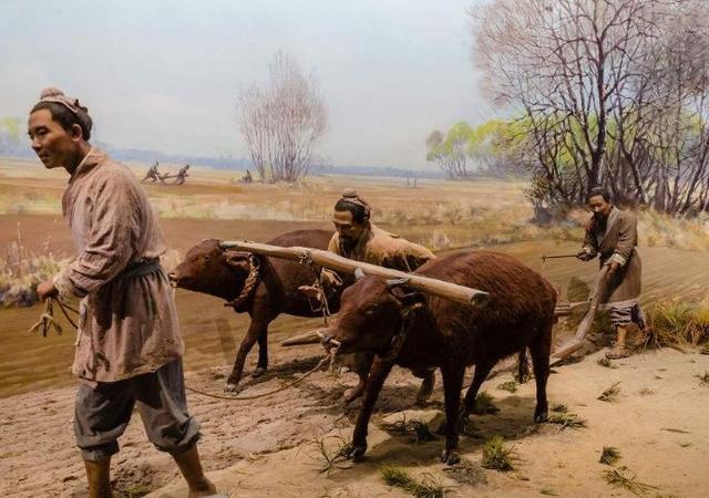 古代农民没有土地为什么不自己开荒