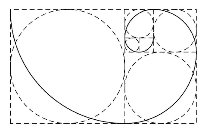 斐波那契黄金螺旋曲线构图 遵循黄金比例 打造一个发散形的logo