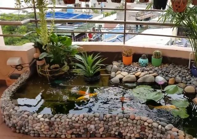 入户花园做成鱼塘,养点小鲤鱼小龙虾|鱼池|鱼塘|小龙虾_新浪新闻