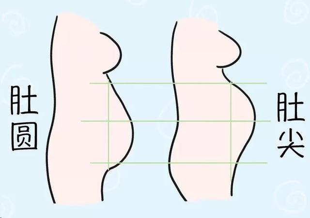 孕肚形状和四方面有关!|腹部|肚子|怀孕_新浪新闻