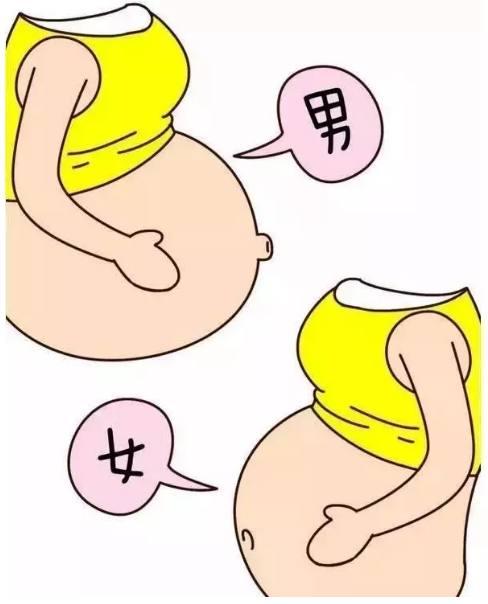 豪放!生男孩的肚子"忠心耿耿"-第1张图片-太白博客