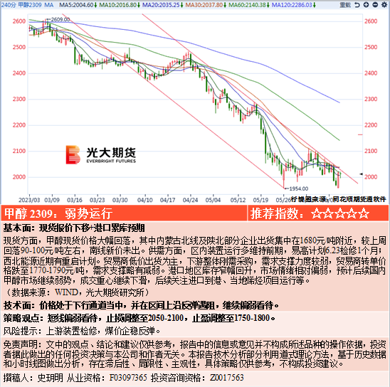 一年|“919色91蝌蚪窝”诗意生活|91蝌蚪窝