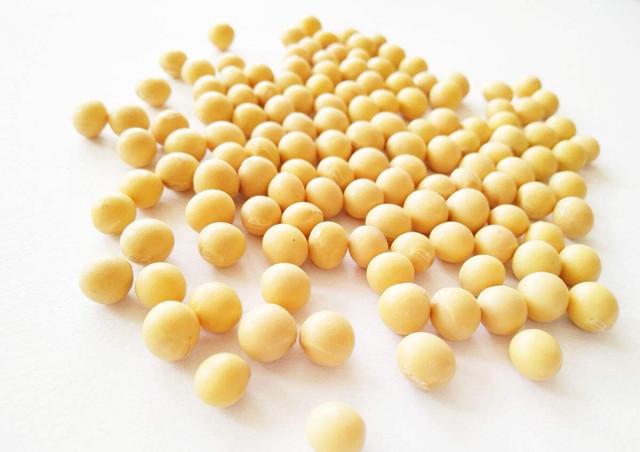 一公斤黄豆用榨油机能榨出多少斤的豆油今天可算知道了