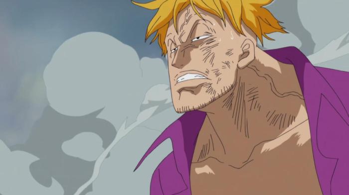 海贼王: 卡普证实巴沙斯实力, 完全可以担任黑胡子海贼团一号船长