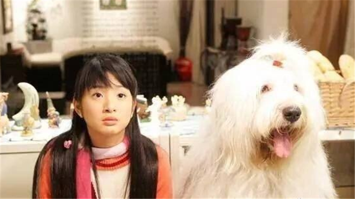 林依晨出道这么多年,拍的电视剧太多了,但她的脸一直都没有变过,在