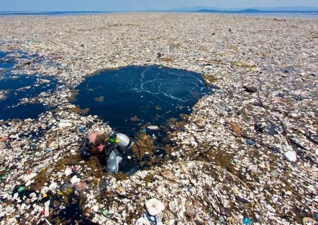 这座垃圾岛形成的世界第八大陆要建国14万人欲申请成为公民