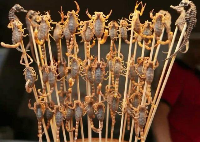 重口味全球昆虫数目减少是因为吃昆虫导致的吗盘点可食用昆虫