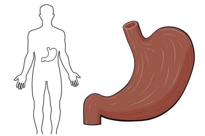 胃不好只会吃药?两个食疗小方,学会了比吃药还好!