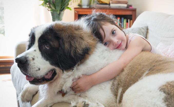 想给宝宝养个宠物狗?这10种犬种,对儿童很友善,适合有娃家庭