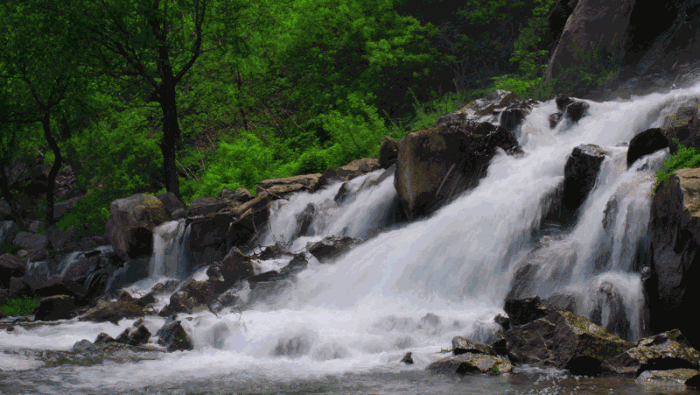 飞禽走兽,山川河流,小蘑菇与北极熊,森林草原和花朵……大自然是一个