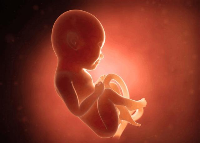 怀孕很辛苦,孩子在妈妈的身体里会难受吗,看完心疼宝宝