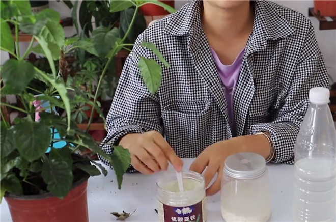 花卉营养液不用买,用好这三种东西,就能够自制营养液