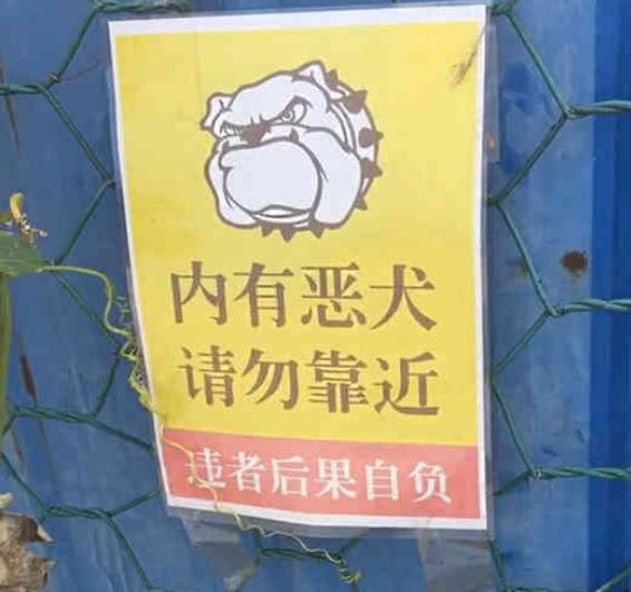 二叔家门口贴了内有恶犬,我和它对视一秒,二哈:客官进来玩啊!