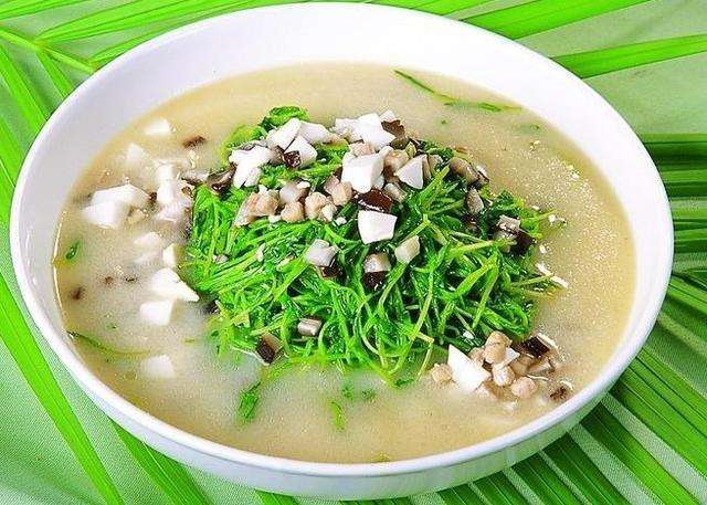 豆苗蘑菇汤