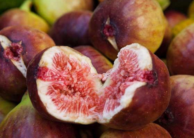 越南|牛奶果|水果_新浪新闻