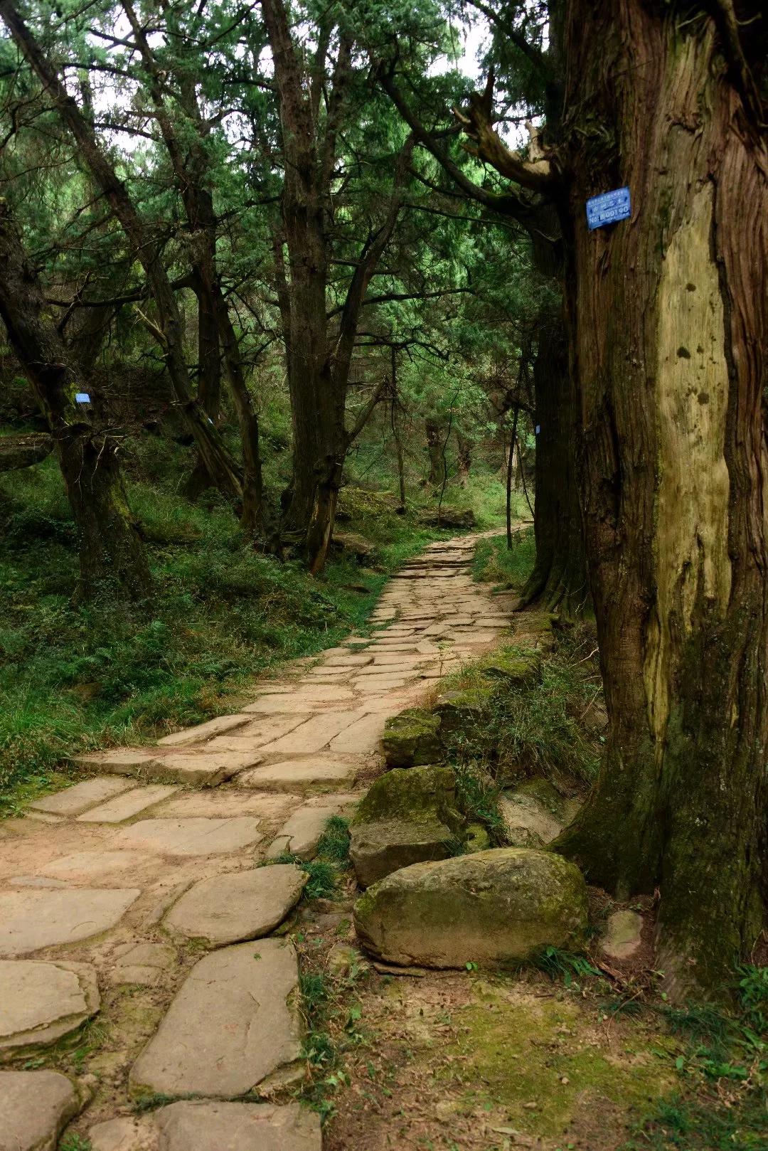 在金牛古道保存最精致的一段路上,有座叫"清凉桥"的明代古桥,桥长约17
