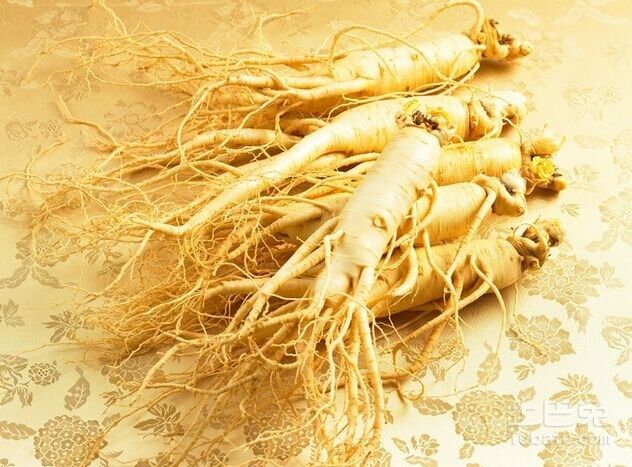 老汉采了千年人参,一夜暴富,老道看出端倪:闯祸了!